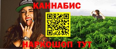 крисы Заводоуковск