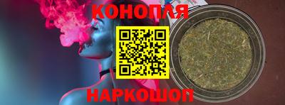 крисы Заводоуковск