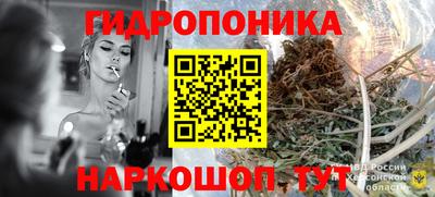 PSILOCYBIN Заволжье