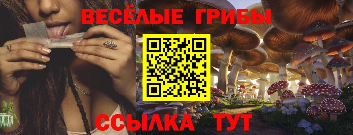 Нижний Новгород  Псилоцибиновые грибы ЛСД  Вход с VPN 