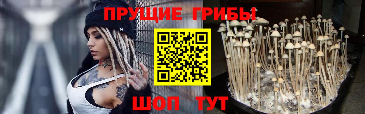 Псилоцибиновые грибы мухоморы Нижний Новгород